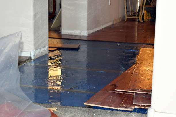 Professional Basement Flood Cleanup technician working in Saint Marys, OH